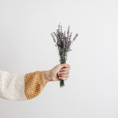 All About Dried Lavender