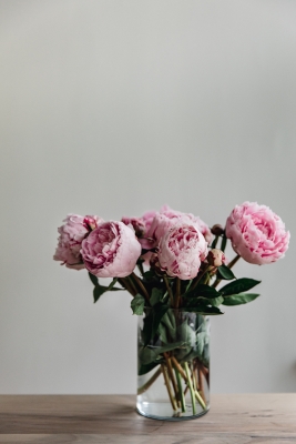 DIY Perfect Pink Peony Vase Arrangement