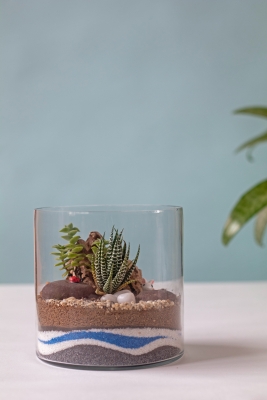 Step by Step DIY Father's Day Terrarium