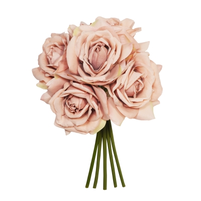 27CM BISQUE OPEN ROSE X 5 POSY