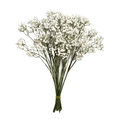 48CM GYPSOPHILA STEM X 12 IN BAG