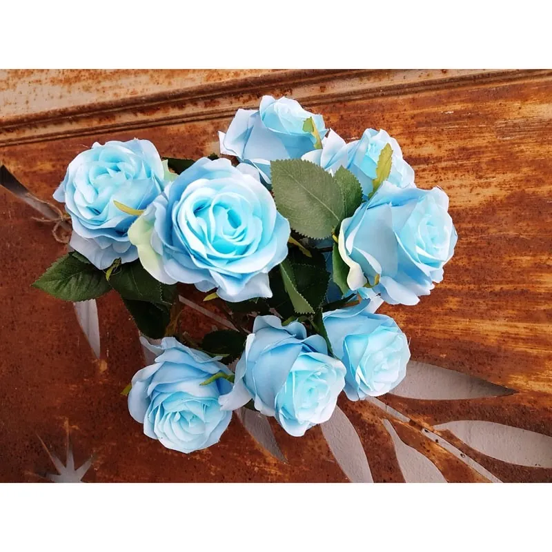 Antique Rose Bush x 9 heads Blue