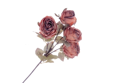 Dry Rose Spray   Orange (4 heads, 54cm long)