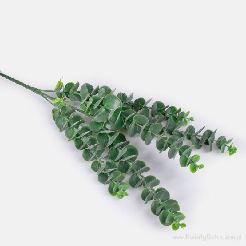 Eucalyptus Twig Green