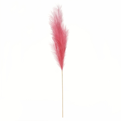 Luxury Pampas Antique Pink 15 Heads