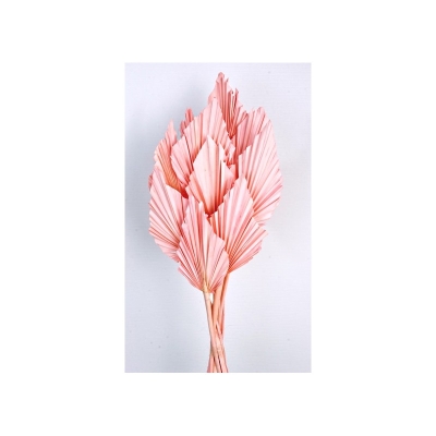 Palm Spear  Light Pink 10pcs per pk