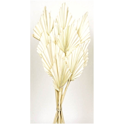 Palm Spear White (10pcs per pk)