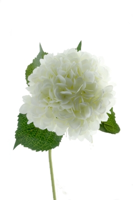 Single Hydrangea   White (19cm diameter, 82cm long)