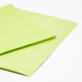 Light Green Tissue Paper (Large)
