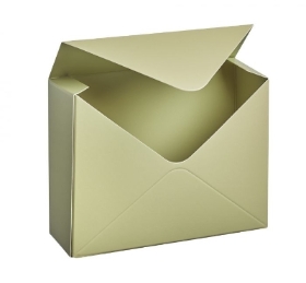 Envelope Box (Sage Green) pack of 10