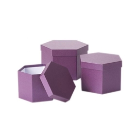 Hexagonal Hat Boxes   Berry Sets of 3