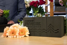 OASIS® Renewal™ Floral Foam Bricks BOX OF 12