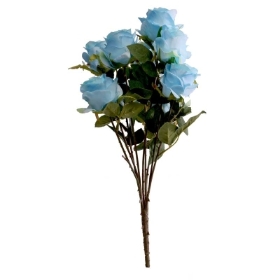 Antique Rose Bush x 9 heads Blue