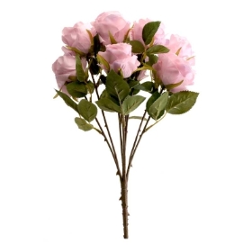 Antique Rose Bush x 9 heads Lilac