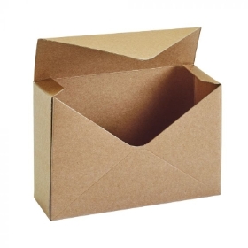 Envelope Box (Natural Kraft) pack of 10