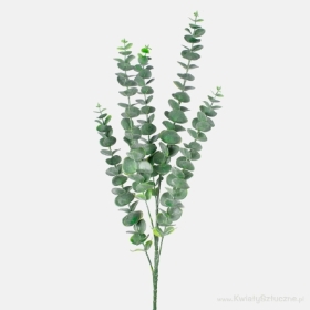 Eucalyptus Twig Green