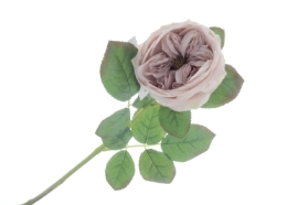 Garden Rose   Antique Mauve (50cm long)