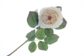 Garden Rose   Cream (50cm long)