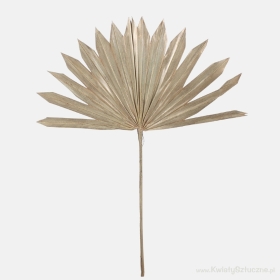 Gilded Palm Sun Spear