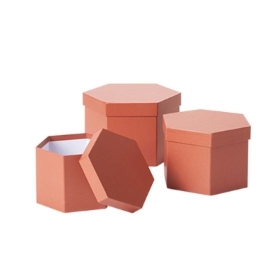 Hexagonal Hat Boxes   Brick Sets of 3