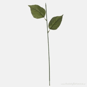 Hydrangea stem Green