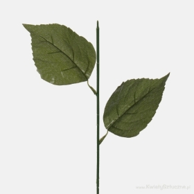 Hydrangea stem Green