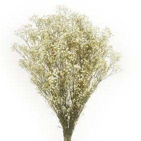 Preserved Gypsophila   Natural (100g per pack, 60cm long)