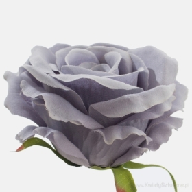 Rose Autumn Lilac