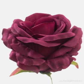 Rose Burgundy
