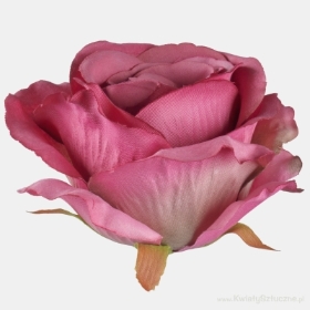 Rose Mauve