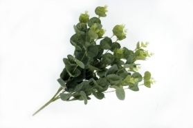 Silk Eucalyptus Bush   Green (45cm Long)