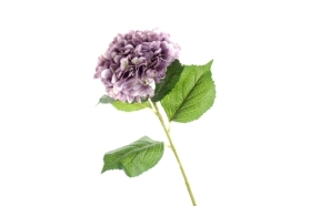 Single Hydrangea   Light Violet (19cm diameter, 82cm long)