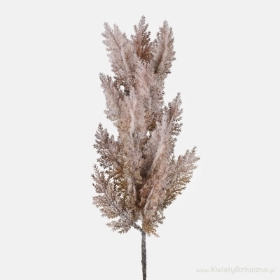 Single Twig Pampas Grass Beige