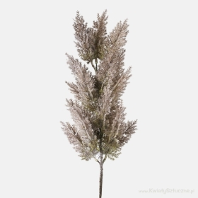 Single Twig Pampas Grass Gray