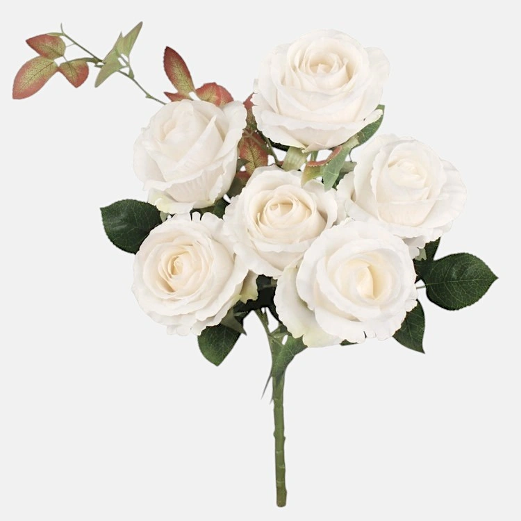 Cream Rose bouquet x 6 Heads