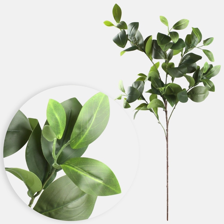 90cm Green Clusia Leaf Greenery