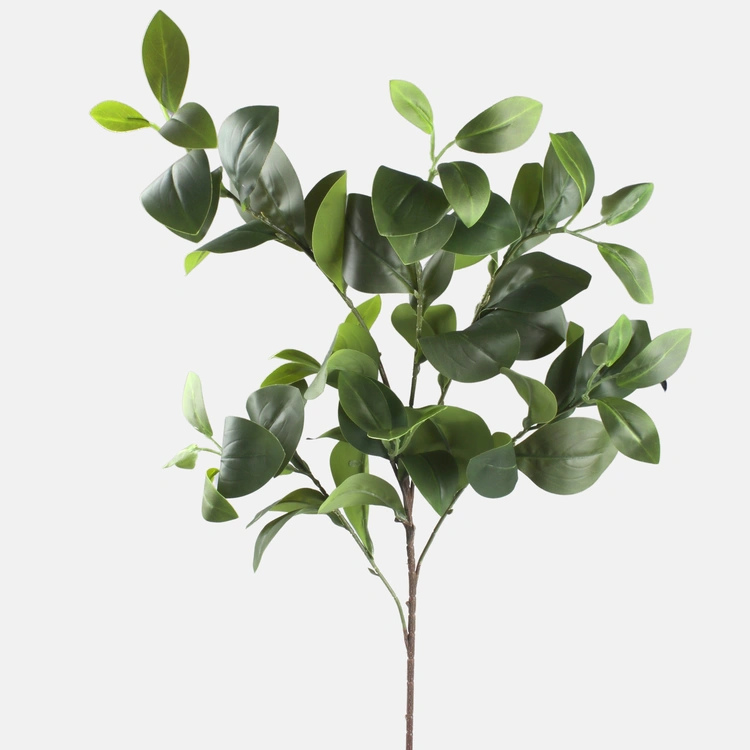 90cm Green Clusia Leaf Greenery
