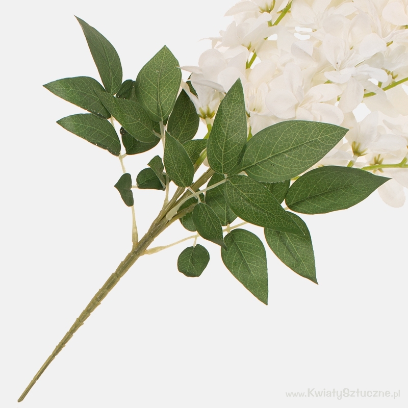 Cream Hanging  Wisteria 5 stems per bunch