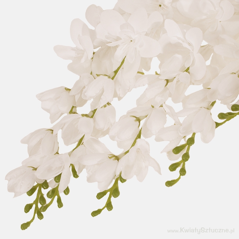 Cream Hanging  Wisteria 5 stems per bunch