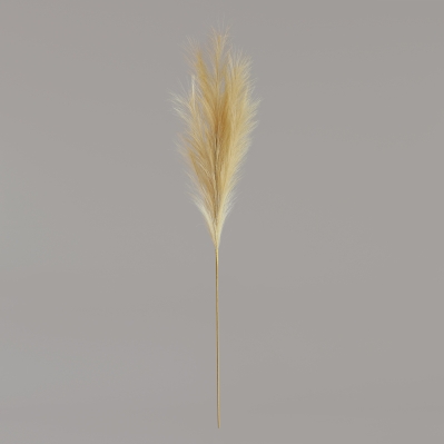 Luxury Pampas Buttermilk 15 Heads