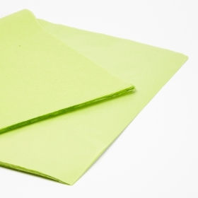 Light Green Tissue Paper Full Pack 240 Sheets (Large)