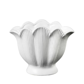 26cm Shell Vase   Matt White