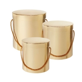 Hamilton Hat Box   Metallic   Gold