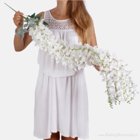 Cream Hanging  Wisteria 5 stems per bunch