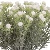 Mini Open Gypsophilia Bunch x 6 White 33cm