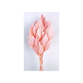 Palm Spear  Light Pink 10pcs per pk